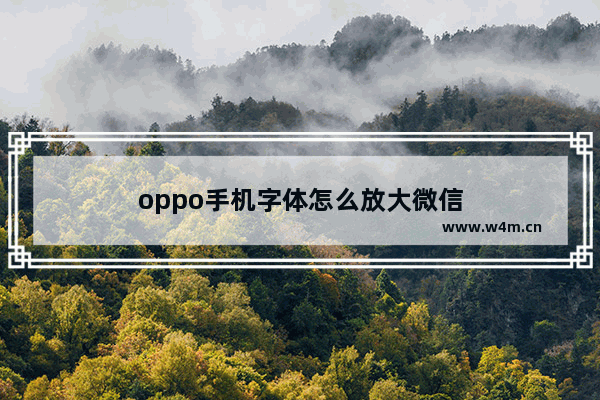 oppo手机字体怎么放大微信