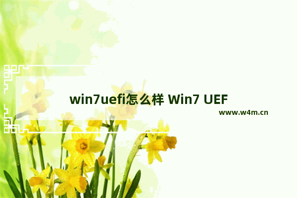 win7uefi怎么样 Win7 UEFI支持及安装方法详解