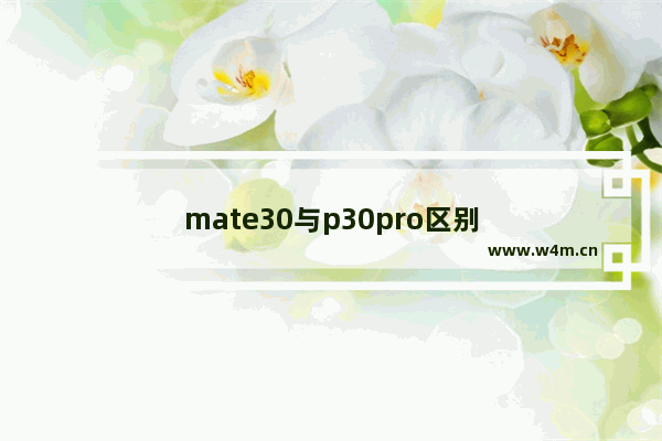 mate30与p30pro区别