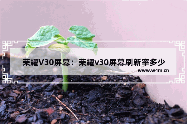 荣耀V30屏幕：荣耀v30屏幕刷新率多少hz