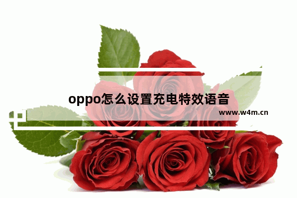 oppo怎么设置充电特效语音