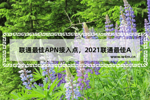 联通最佳APN接入点，2021联通最佳APN接入点知乎