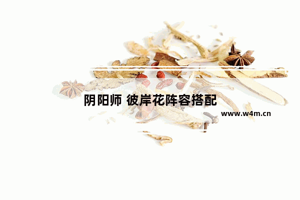 阴阳师 彼岸花阵容搭配