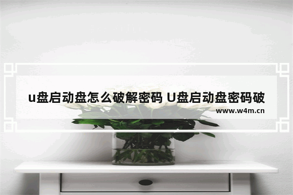 u盘启动盘怎么破解密码 U盘启动盘密码破解方法