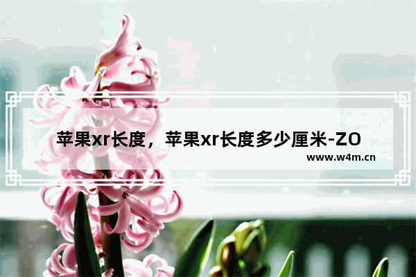 苹果xr长度，苹果xr长度多少厘米-ZOL问答