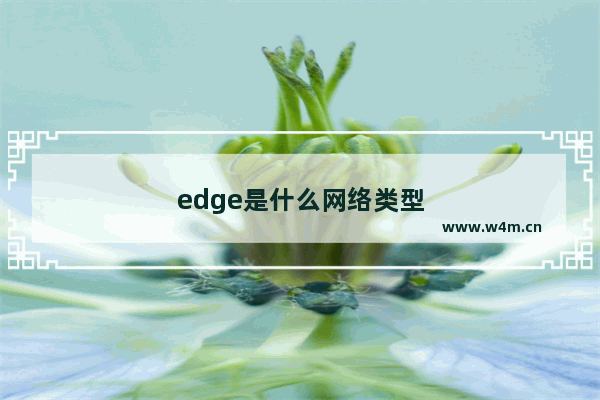 edge是什么网络类型