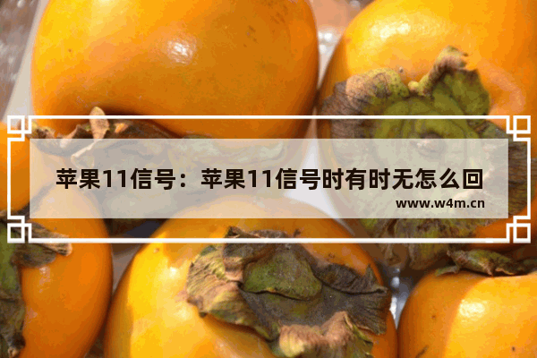 苹果11信号：苹果11信号时有时无怎么回事