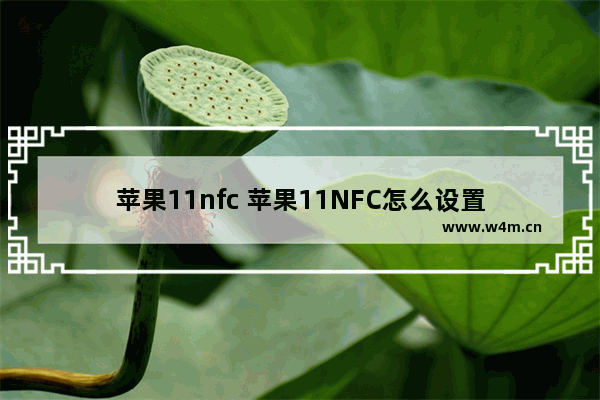 苹果11nfc 苹果11NFC怎么设置