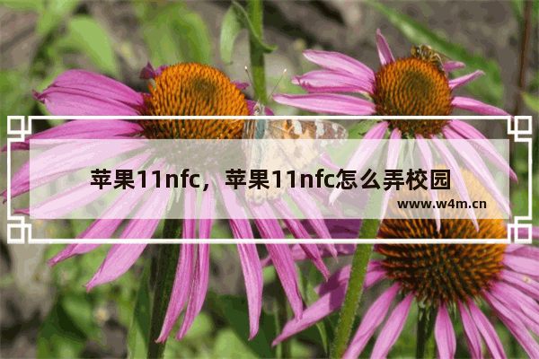 苹果11nfc，苹果11nfc怎么弄校园卡