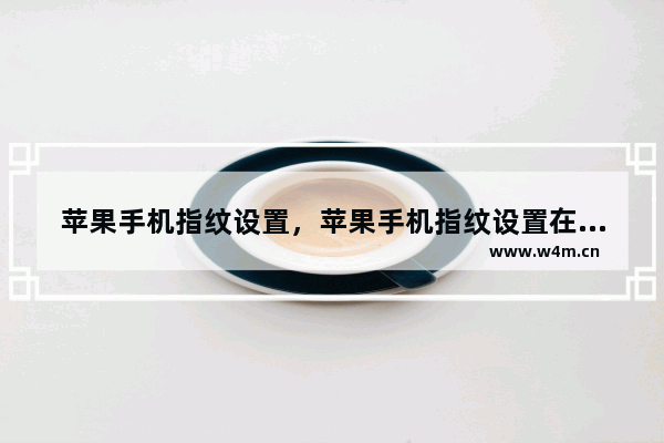 苹果手机指纹设置，苹果手机指纹设置在哪里我忘记了