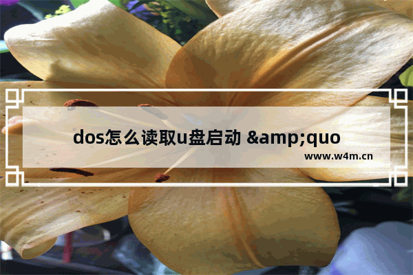 dos怎么读取u盘启动 "DOS如何从U盘启动"