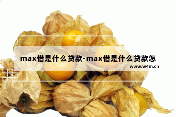 max借是什么贷款-max借是什么贷款怎么还款