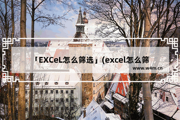 「EXCeL怎么筛选」(excel怎么筛选内容求和)