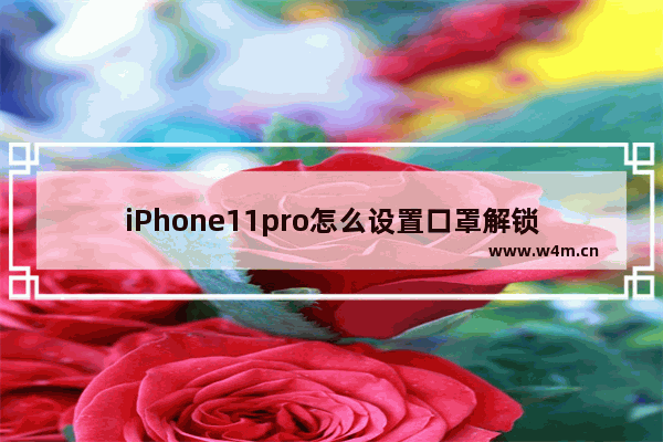 iPhone11pro怎么设置口罩解锁