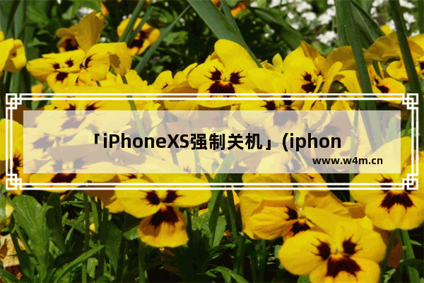 「iPhoneXS强制关机」(iphonexs强制关机警报)