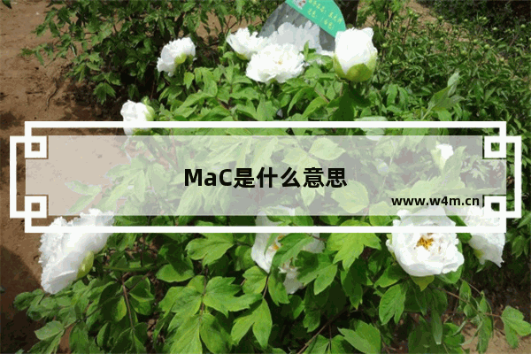 MaC是什么意思