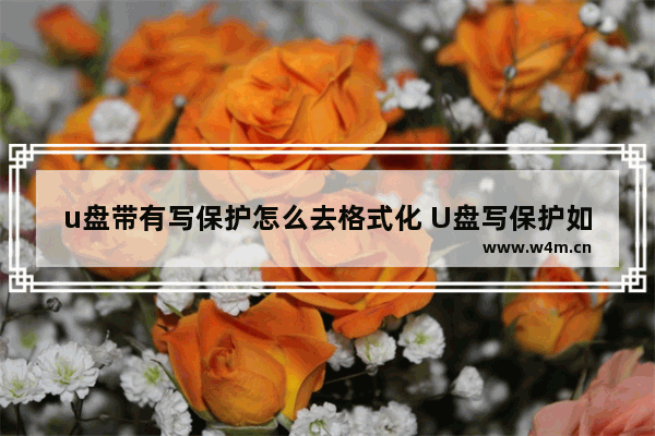 u盘带有写保护怎么去格式化 U盘写保护如何格式化