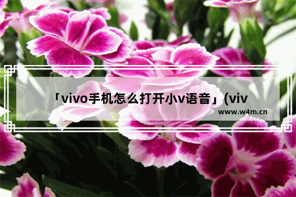 「vivo手机怎么打开小v语音」(vivo手机怎么打开小v语音助手)