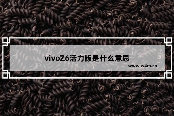 vivoZ6活力版是什么意思