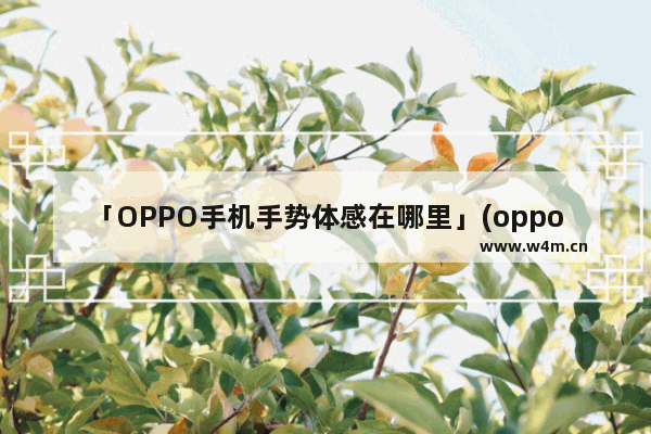 「OPPO手机手势体感在哪里」(oppo手机手势体感在哪里关闭)