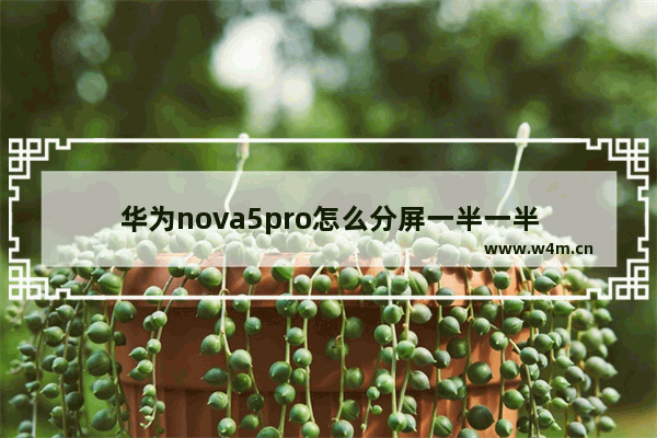 华为nova5pro怎么分屏一半一半