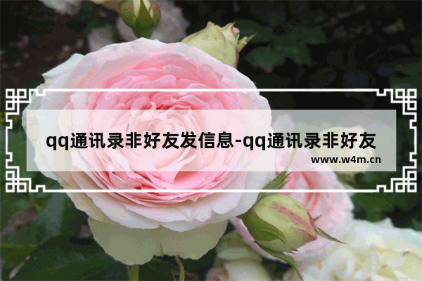 qq通讯录非好友发信息-qq通讯录非好友发信息收不到