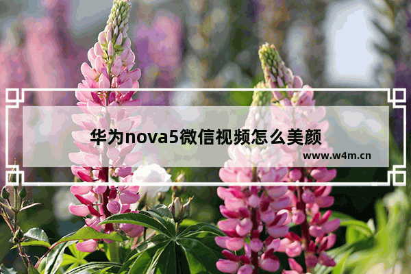 华为nova5微信视频怎么美颜