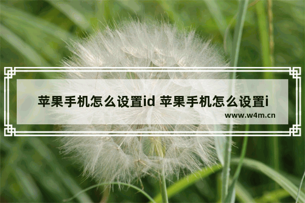 苹果手机怎么设置id 苹果手机怎么设置id面容解锁