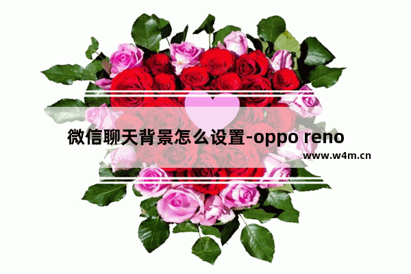 微信聊天背景怎么设置-oppo reno 6微信聊天背景怎么设置