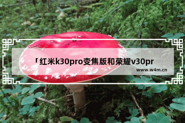 「红米k30pro变焦版和荣耀v30pro」(红米k30pro变焦版和荣耀v30pro哪个好)