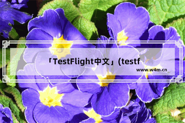 「TestFlight中文」(testflight中文翻译)