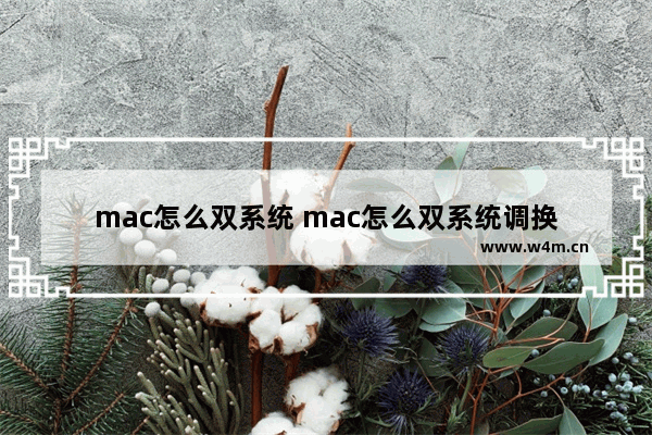 mac怎么双系统 mac怎么双系统调换