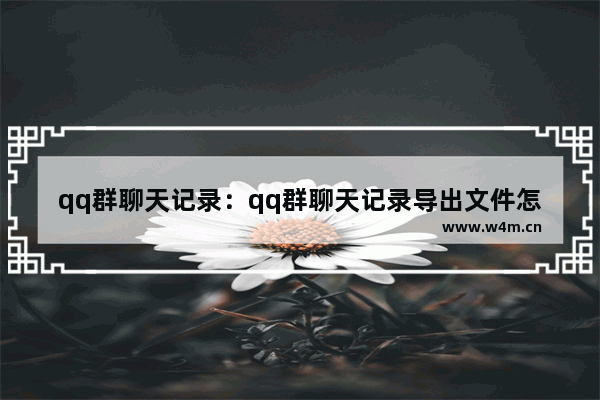 qq群聊天记录：qq群聊天记录导出文件怎么打开