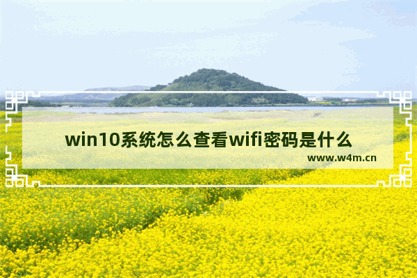 win10系统怎么查看wifi密码是什么 如何查看Win10的WiFi密码？