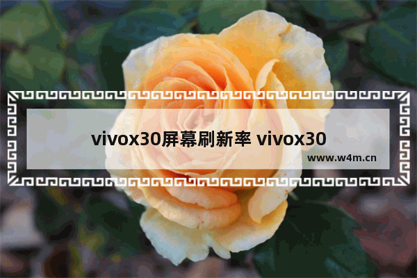 vivox30屏幕刷新率 vivox30屏幕刷新率默认是多少