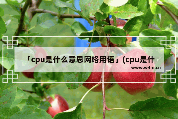 「cpu是什么意思网络用语」(cpu是什么意思网络用语日语)