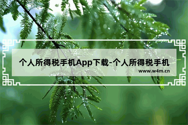 个人所得税手机App下载-个人所得税手机app下载注册