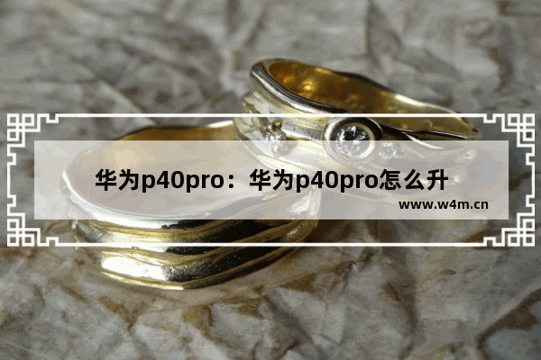 华为p40pro：华为p40pro怎么升级鸿蒙系统