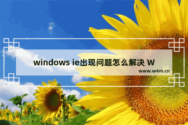 windows ie出现问题怎么解决 Windows IE故障如何应对