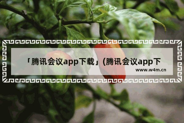 「腾讯会议app下载」(腾讯会议app下载安装官方免费)