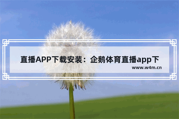 直播APP下载安装：企鹅体育直播app下载安装