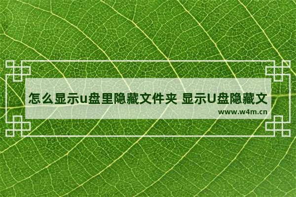 怎么显示u盘里隐藏文件夹 显示U盘隐藏文件夹的方法