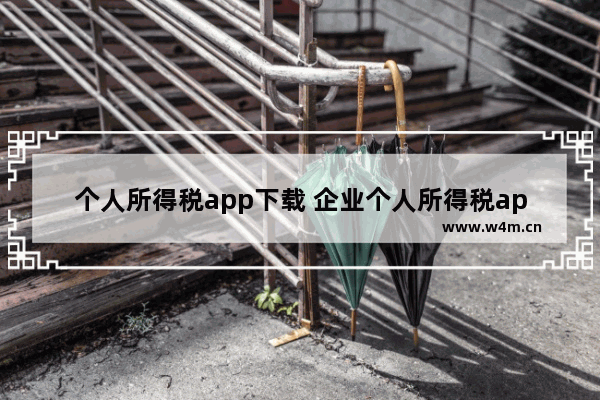 个人所得税app下载 企业个人所得税app下载注册流程