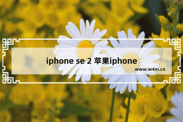 iphone se 2 苹果iphone se 2