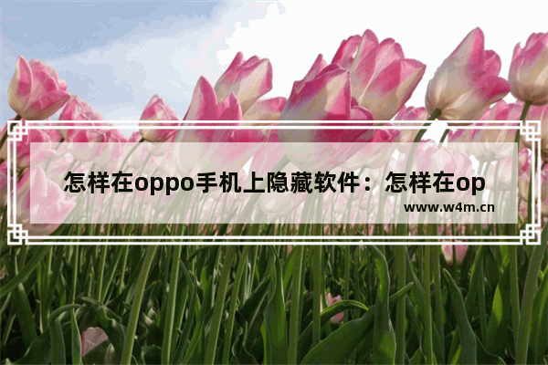 怎样在oppo手机上隐藏软件：怎样在oppo手机上隐藏软件?