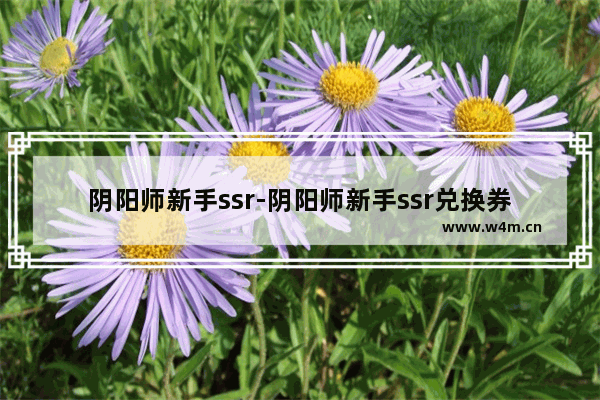 阴阳师新手ssr-阴阳师新手ssr兑换券怎么用