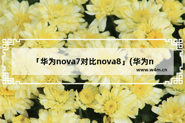 「华为nova7对比nova8」(华为nova7对比nova8pro哪个好)