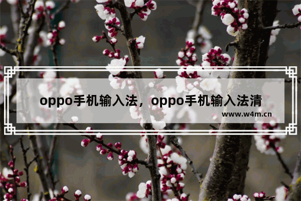 oppo手机输入法，oppo手机输入法清除输入记忆