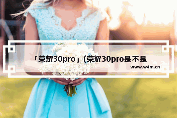 「荣耀30pro」(荣耀30pro是不是三星屏)