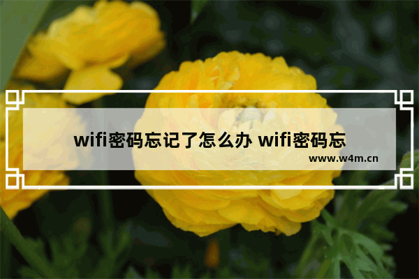 wifi密码忘记了怎么办 wifi密码忘记了怎么办192.168.0.1